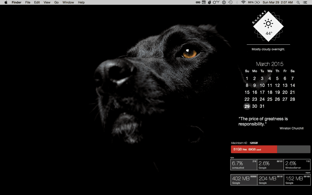 I'm Obsessed With Labs